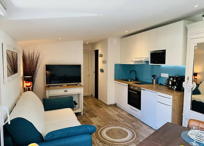 Studio Ty Cool, Jardin 200M Carre, 50M Plage, Wifi, Parking