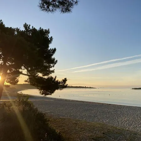 Studio Ty Cool, Jardin 200M Carre, 50M Plage, Wifi, Parking Saint-Pierre-Quiberon Buitenkant foto