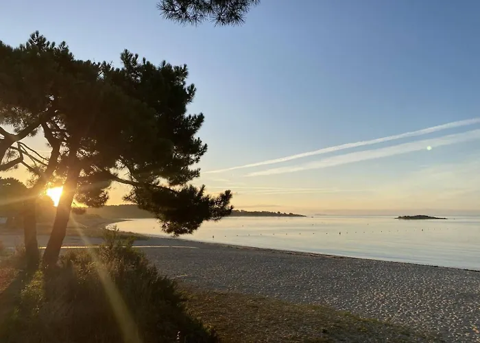 Studio Ty Cool, Jardin 200M Carre, 50M Plage, Wifi, Parking