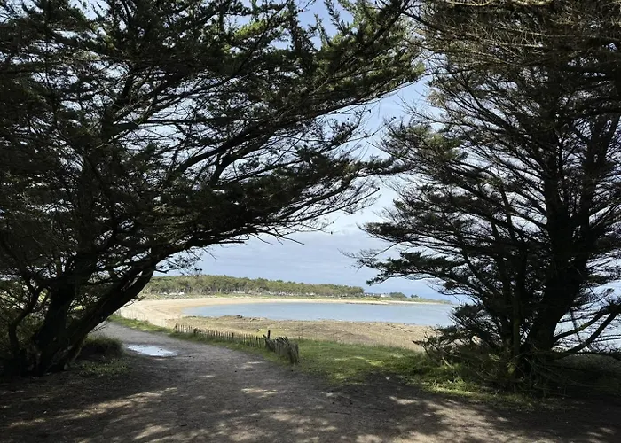 Studio Ty Cool, Jardin 200M Carre, 50M Plage, Wifi, Parking